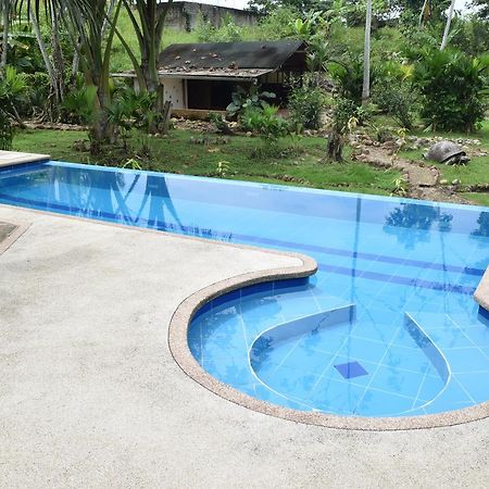 Wisdom Garden Hotel Tena Exterior photo