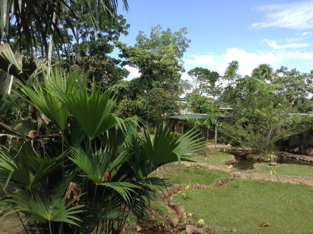 Wisdom Garden Hotel Tena Exterior photo