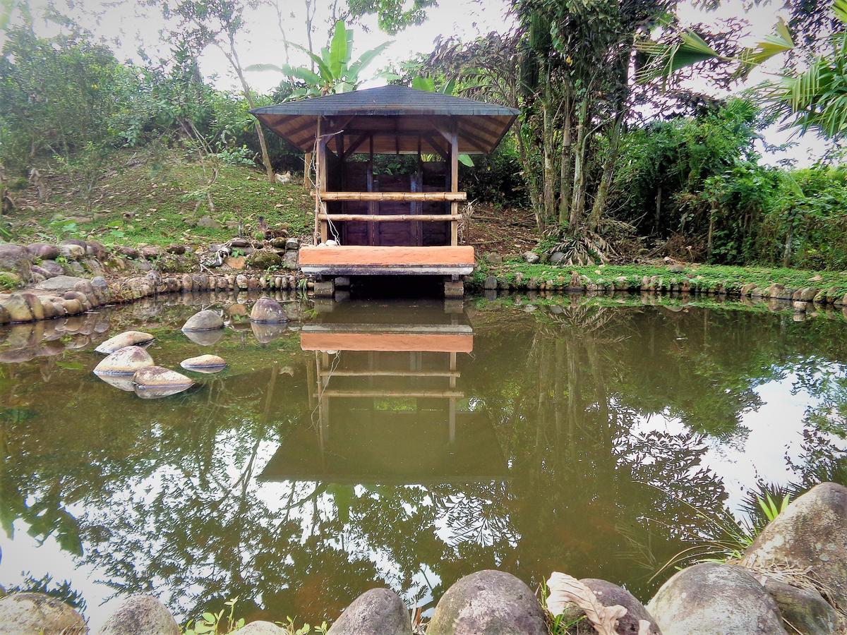 Wisdom Garden Hotel Tena Exterior photo