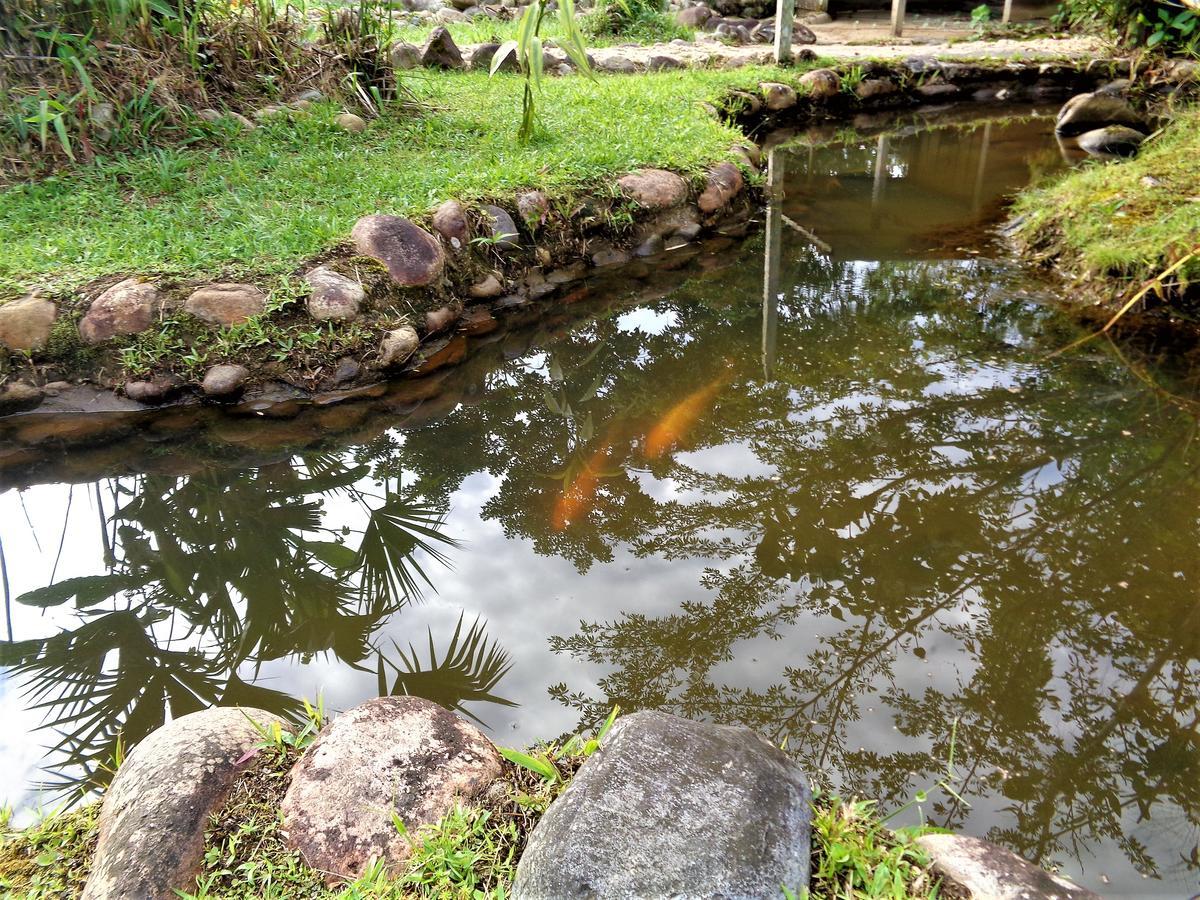 Wisdom Garden Hotel Tena Exterior photo