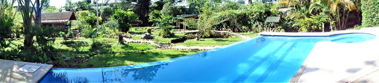 Wisdom Garden Hotel Tena Exterior photo