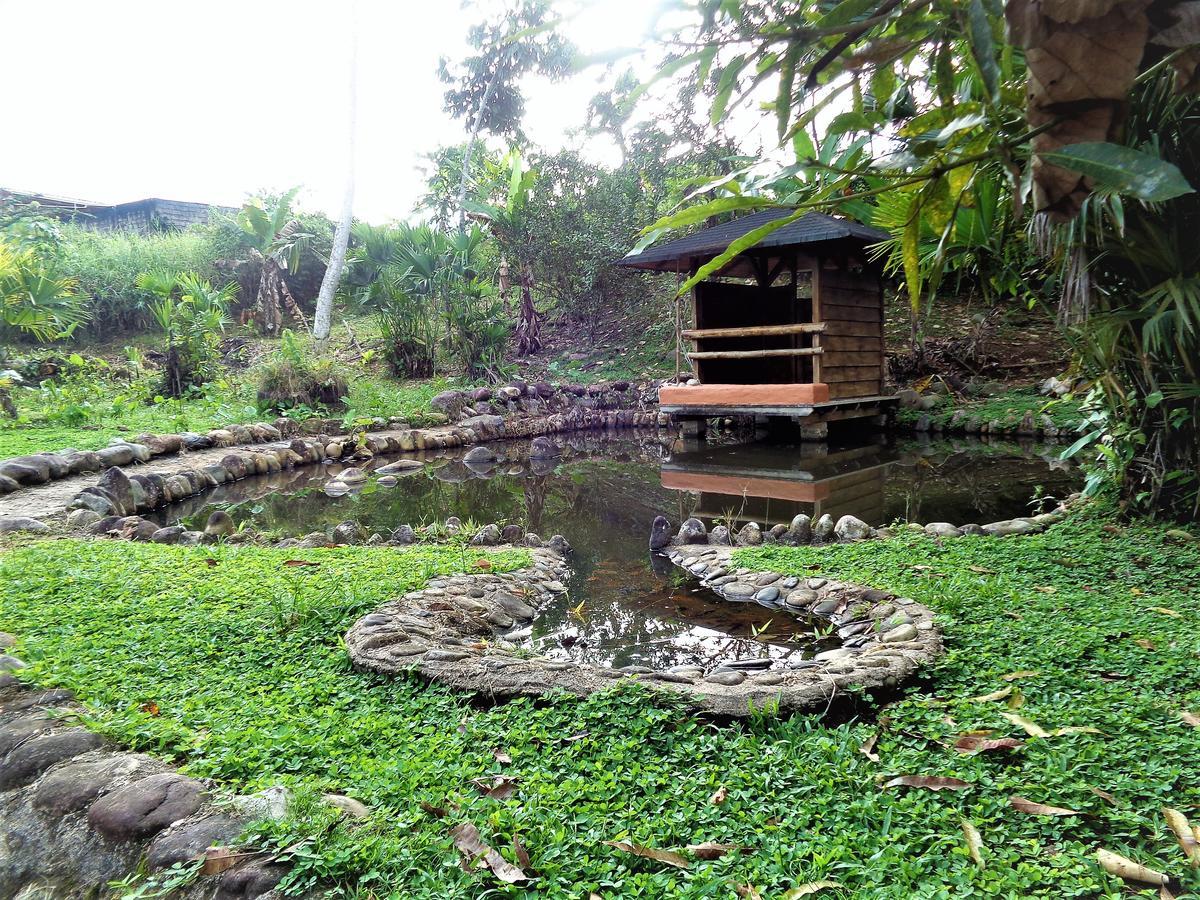 Wisdom Garden Hotel Tena Exterior photo